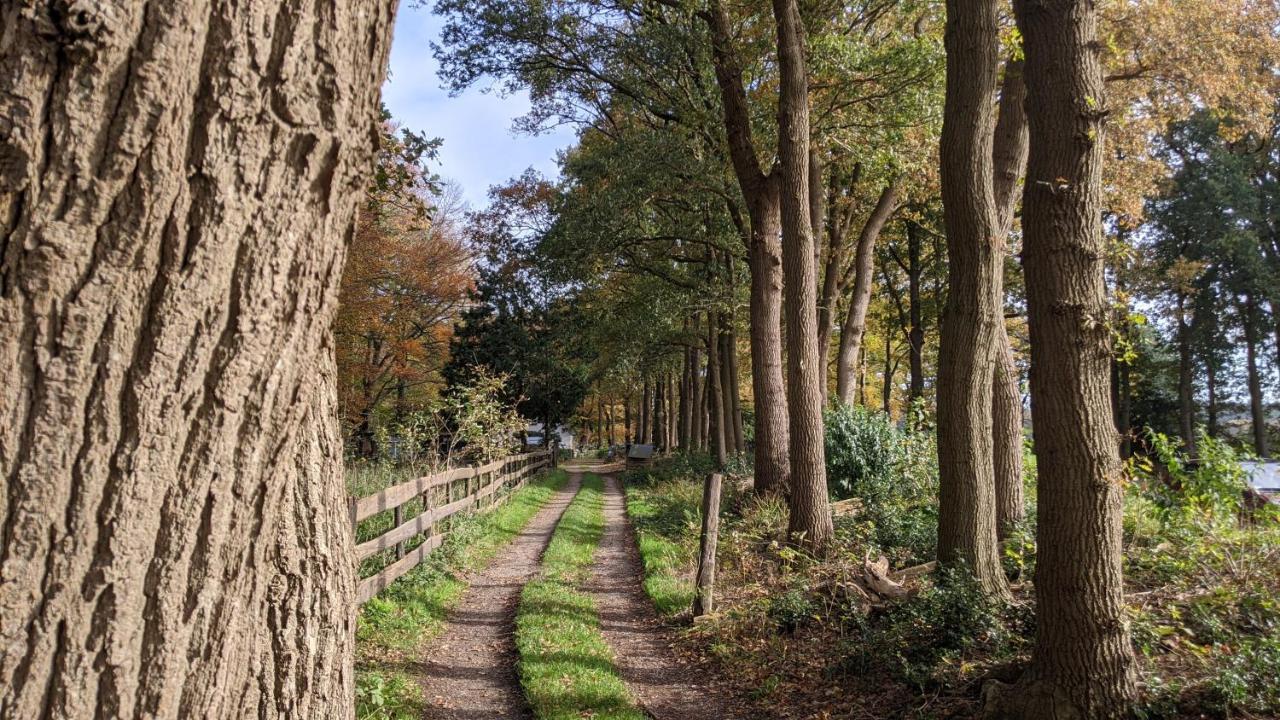 Chalet Op De Veluwe # Berk Пюттен Екстер'єр фото