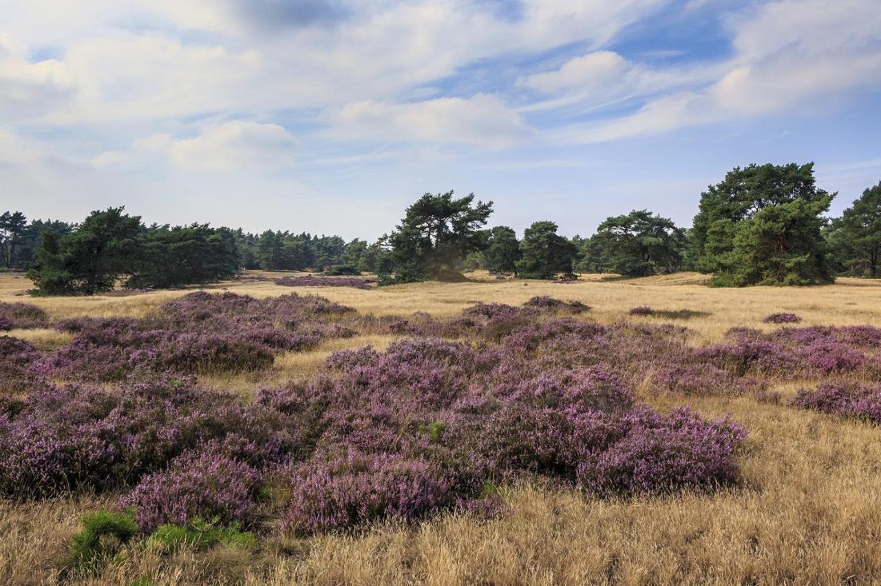Chalet Op De Veluwe # Berk Пюттен Екстер'єр фото