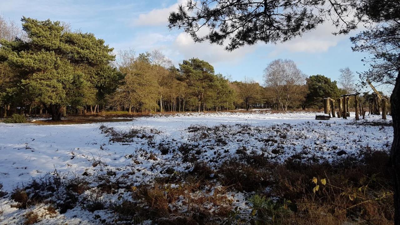 Chalet Op De Veluwe # Berk Пюттен Екстер'єр фото